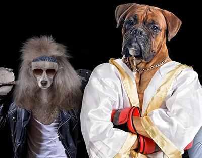 Photomontages de chiens, Attractive Dogs (Création : AGORA VITA / Sylvain Girault - 2018)