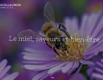 Site vitrine de Muriel Guillaumon qui commercialise des produits à base de miel (Création : AGORA VITA / Sylvain Girault - 2017)